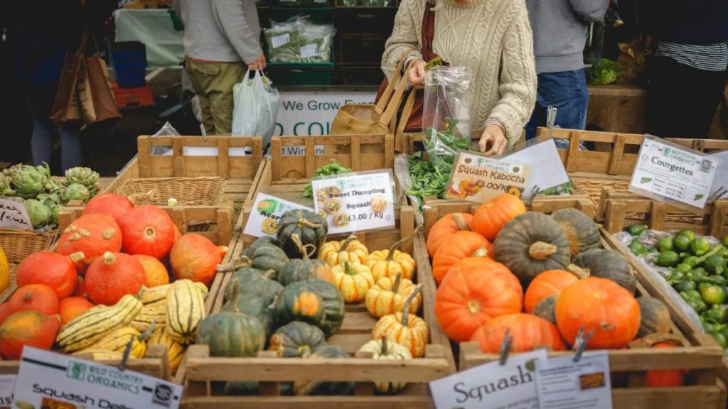 Organic Farming and the British Market