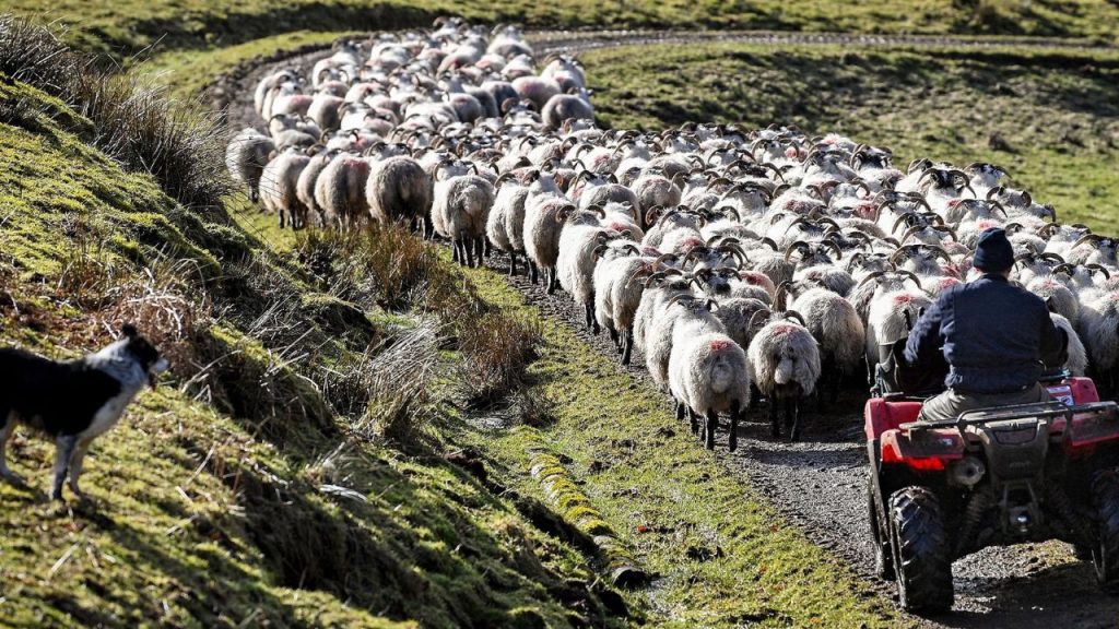 Post-Brexit Common Agricultural Policy (CAP)