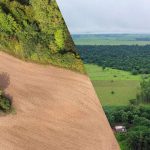 Reforestation and Conservation on Farmlands