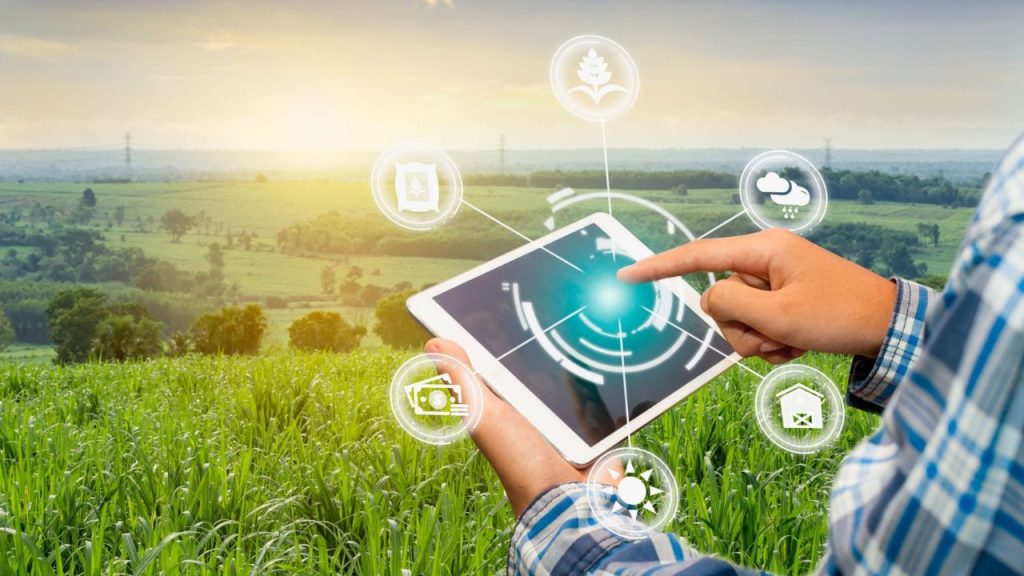 Technology and Innovation in the UK Agro Sector