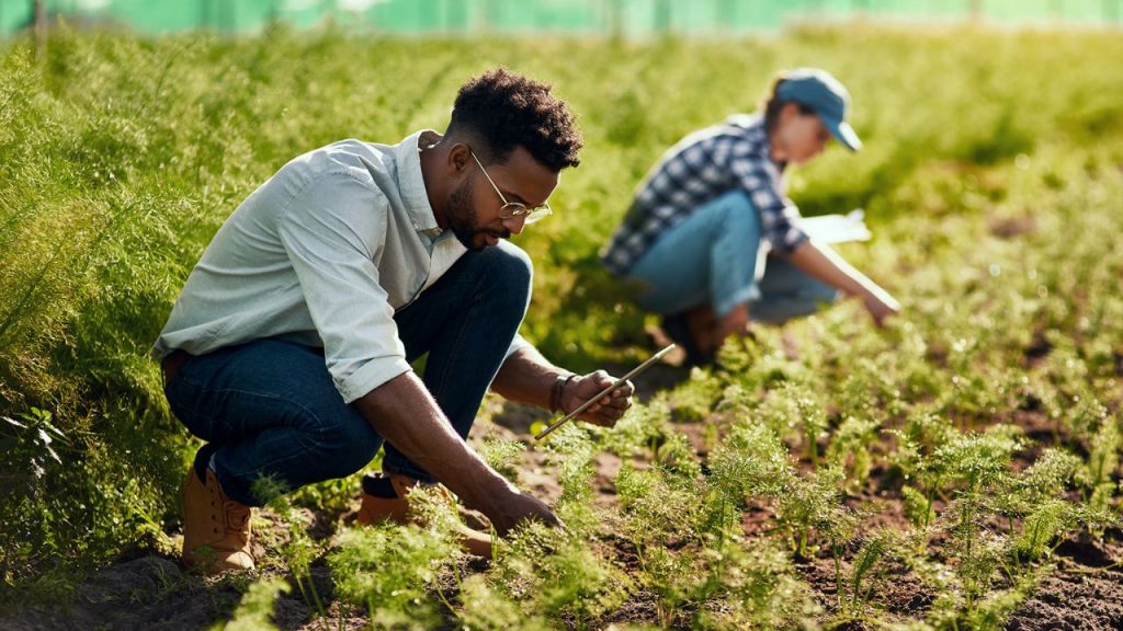 Farm to Fork: Strengthening the UK’s Local Food Systems