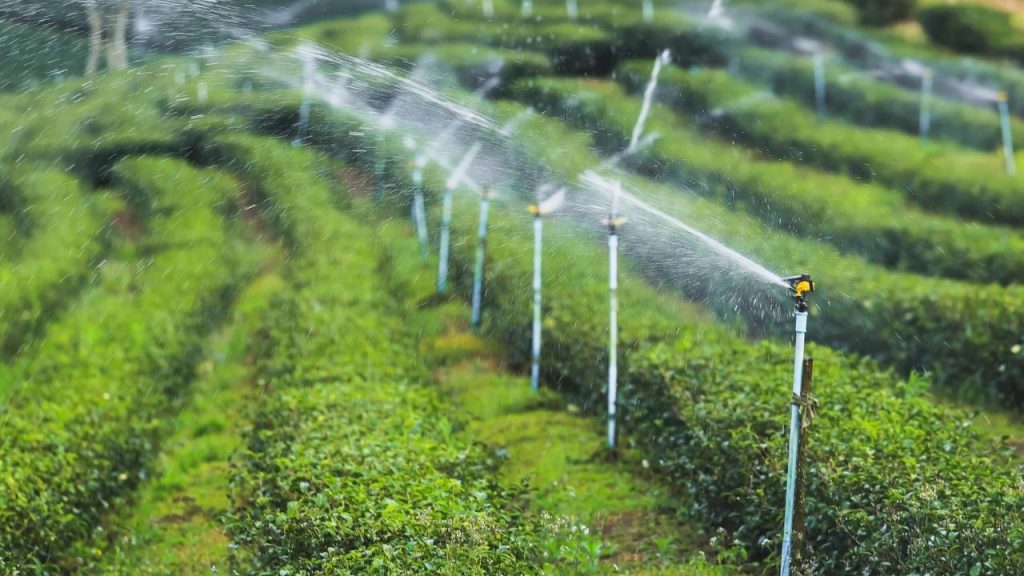 Water Management Challenges in British Agriculture